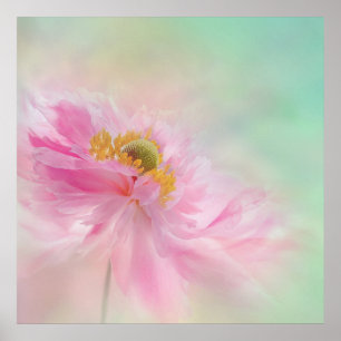 Póster Peony Poster