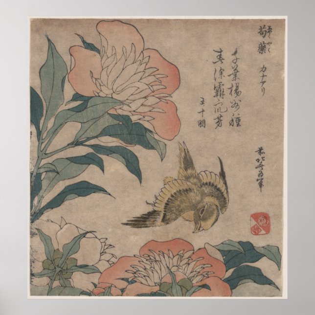 Póster Peony y Canario de Katsushika Hokusai (Frente)