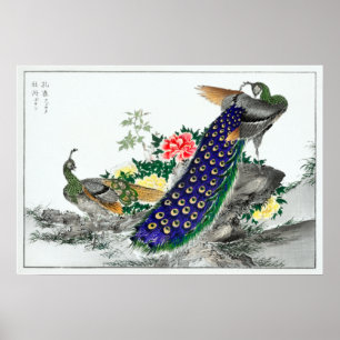 Póster Peony y el pavo real de Numata Kashu