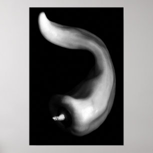 Póster Pepper curvada cierra fotografías en blanco y negr