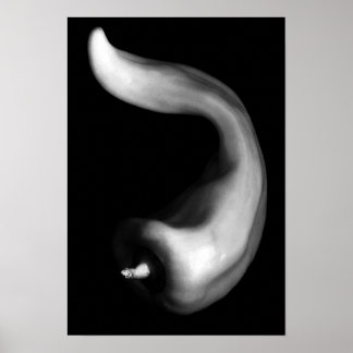 Póster Pepper curvada cierra fotografías en blanco y negr