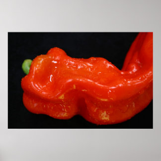 Póster Pepper de Campana Roja