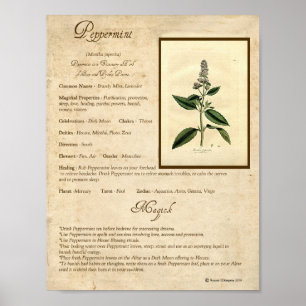 PÓSTER PEPPERMINT MAGICK HERB