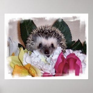 Póster Pepperpot el erizo