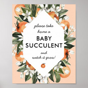 Póster Pequeña Cutie Suculento Baby Shower favorece el Ró