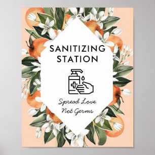 Póster Pequeña Cutie tema Sanitization Station Baby Showe