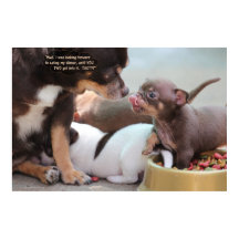 Pequeña familia de perros en la cena