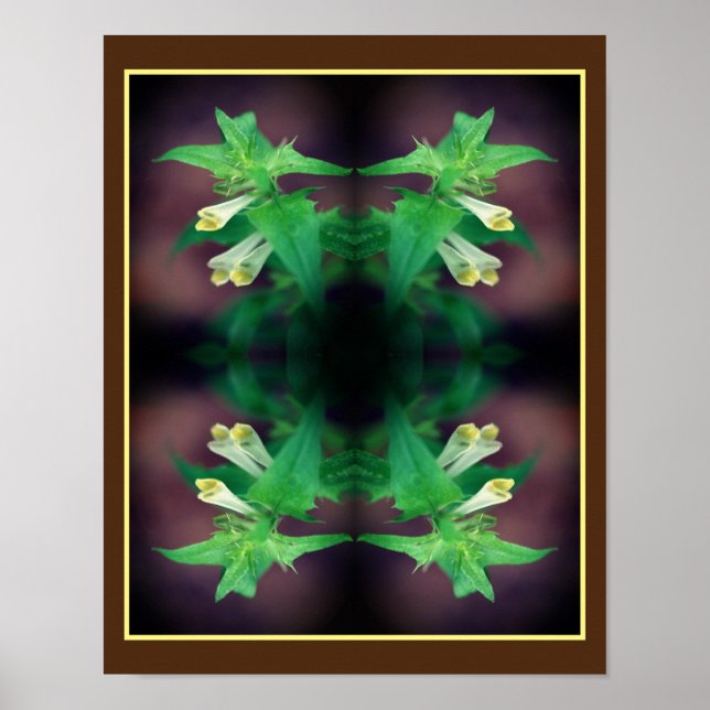 Póster Pequeña Flor Silvestre Blanca Cerrar Resumen Espej (Frente)