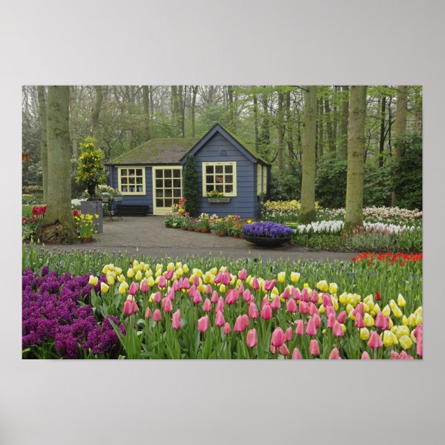 Póster Pequeña floristería de cabaña, Keukenhof Gardens, (Frente)