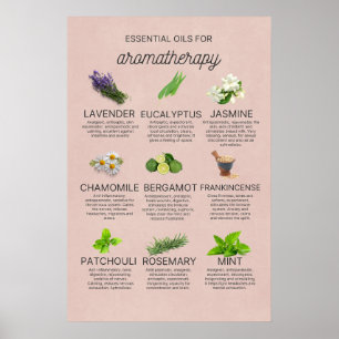 Póster Pequeña guía de aceites esenciales en español