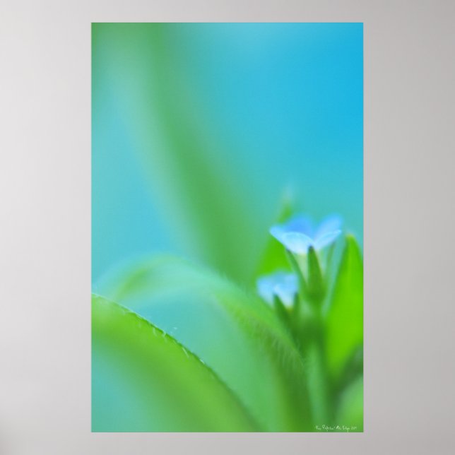 Póster Pequeña perfección (Frente)