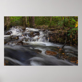 Póster Pequeñas caídas en la carrera de la primavera de a