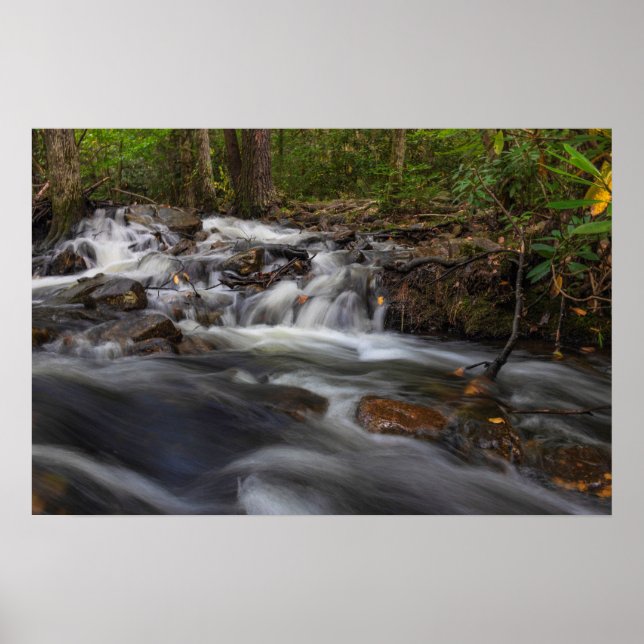 Póster Pequeñas caídas en la carrera de la primavera de a (Frente)