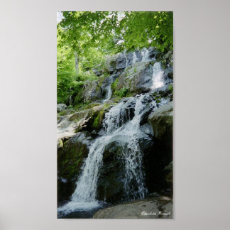Póster pequeñas cascadas