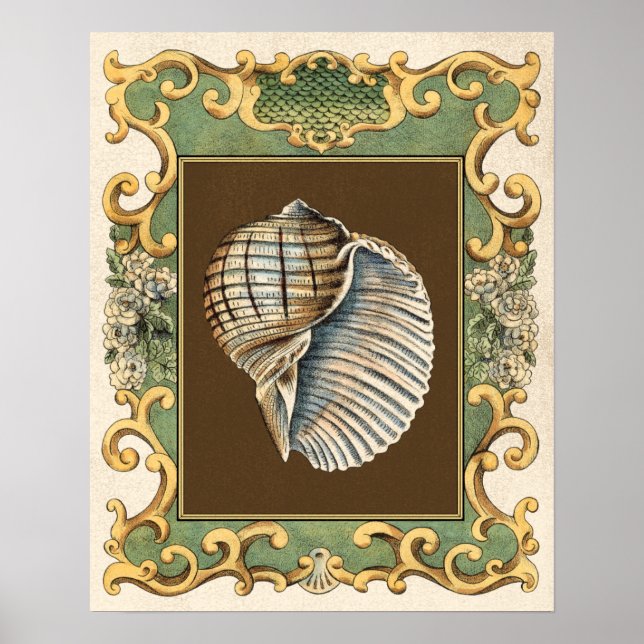 Póster Pequeñas conchas de sirena (Frente)