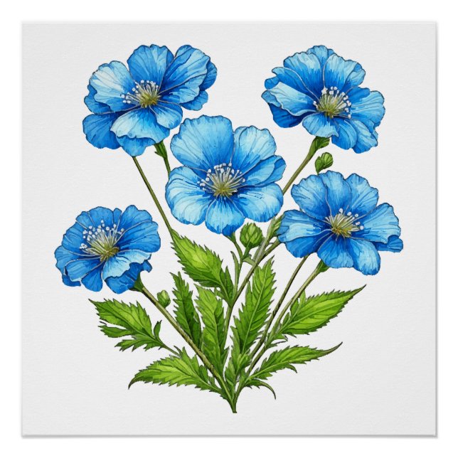 Póster Pequeñas Flores Azules (Anverso)