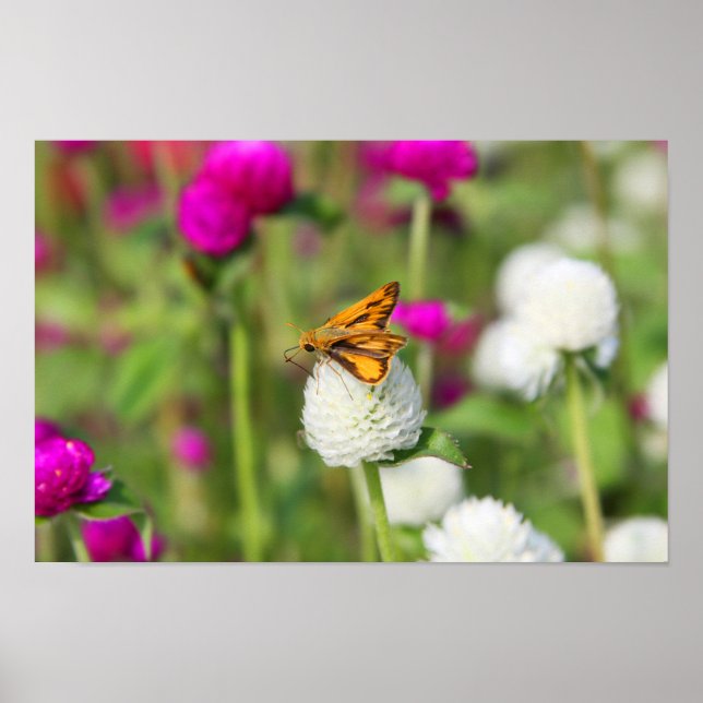 Póster Pequeñas fuentes 1 (Frente)