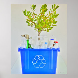 Póster Pequeño árbol