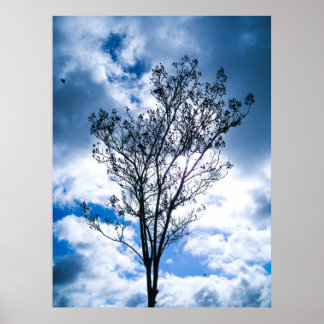 Póster Pequeño árbol grande mundo