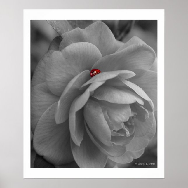 Póster Pequeño error en la flor (Frente)