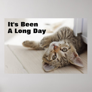 Póster Pequeño gatito lindo