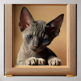Póster Pequeño gatito Sphynx color oscuro