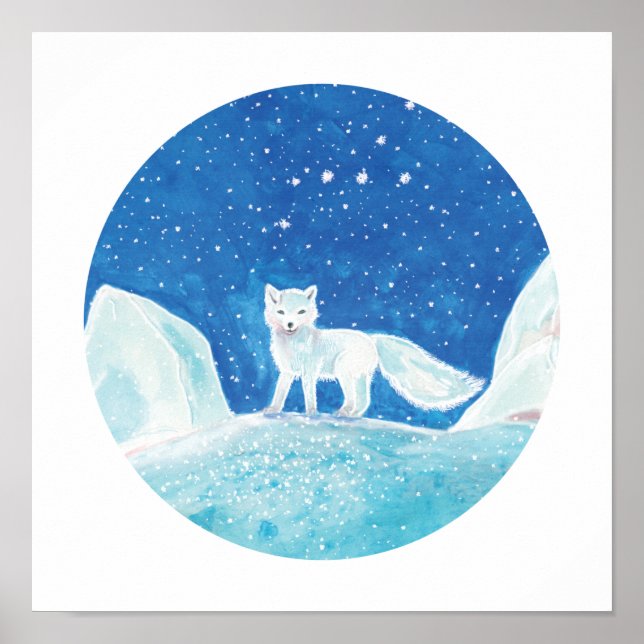 Póster Pequeño Ilustracion de Fox Ártica (Vulpes Lagopus) (Frente)