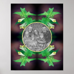 Póster Pequeño Marco de Flor Silvestre Blanco Crea Tu Pro