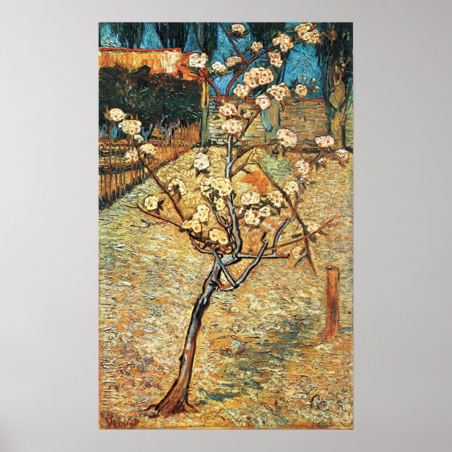 Póster Pequeño peral en flor de Vincent van Gogh (Frente)