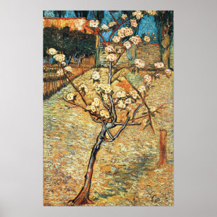 Póster Pequeño peral en flor de Vincent van Gogh