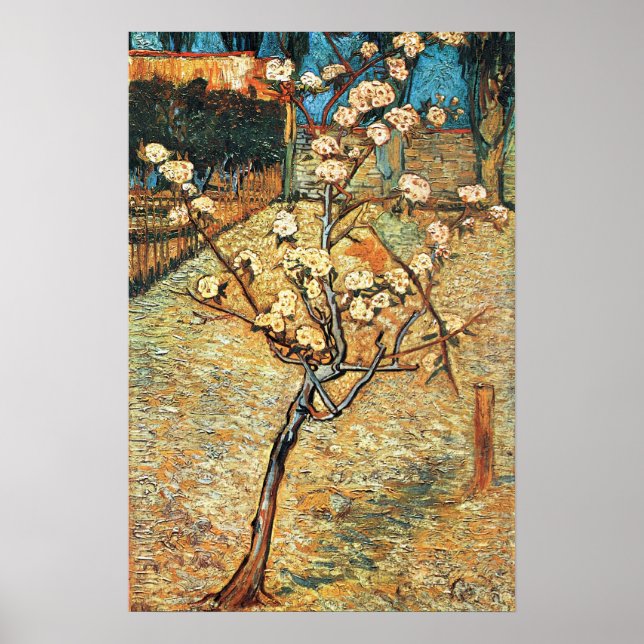 Póster Pequeño peral en flor de Vincent van Gogh (Frente)
