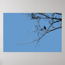 Pequeño Poster de pájaro negro