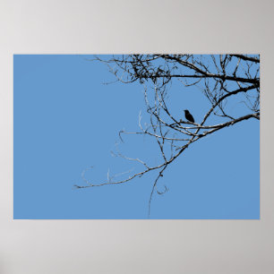 Póster Pequeño Poster de pájaro negro