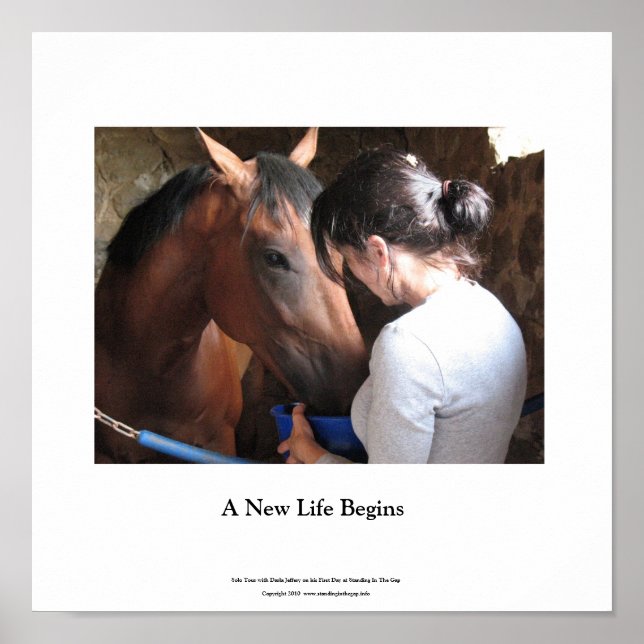 Póster Pequeño Poster Solo Tour y Darla Jeffery (Frente)