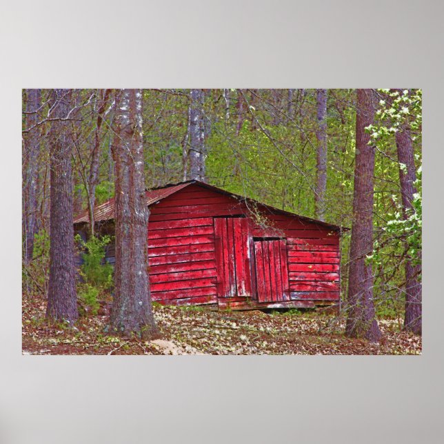 Póster Pequeño Rojo En El Bosque (Frente)