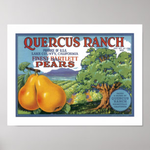 Póster Peras de bartlett del rancho del quercus