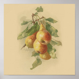 Póster Peras de época