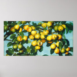 Póster Peras de maduración - Poster Bella Artes Joseph De