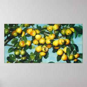 Póster Peras de maduración - Poster Bella Artes Joseph De