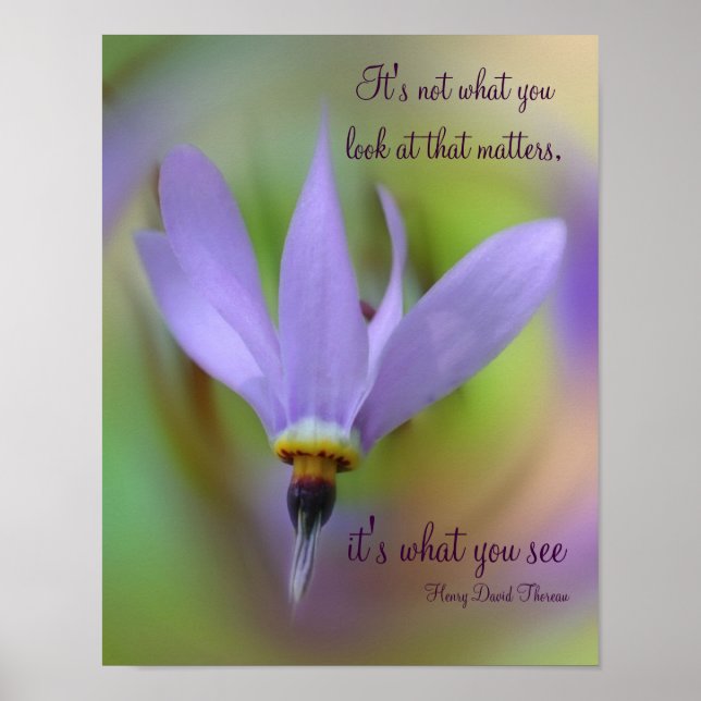 Póster Percepción Cita Flor púrpura Inspiradora (Frente)