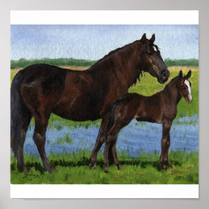 Póster Percheron Mare y Foit Portrait
