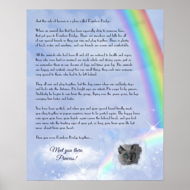 Póster Pérdida de Mascotas del puente arco iris (personal (Frente)