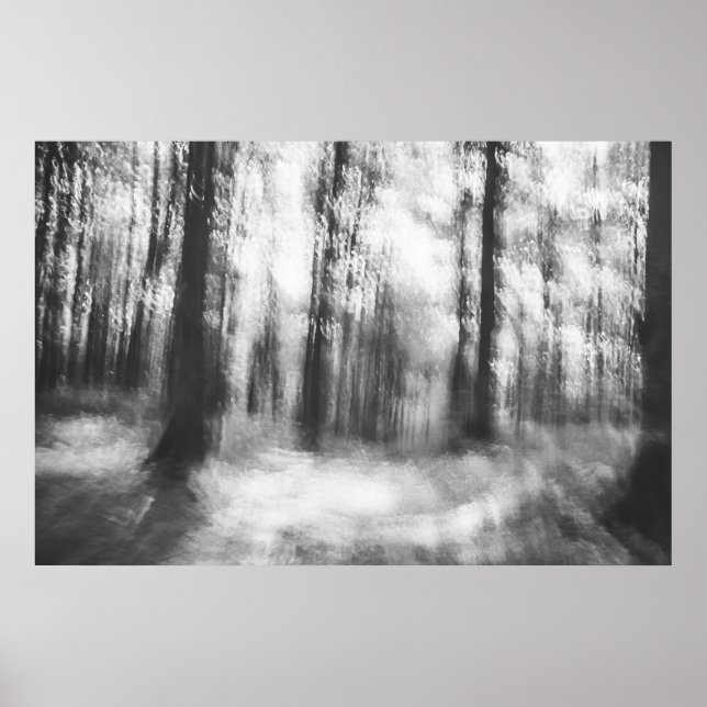Póster Perdido en el bosque - fotografía abstracta de inf (Frente)