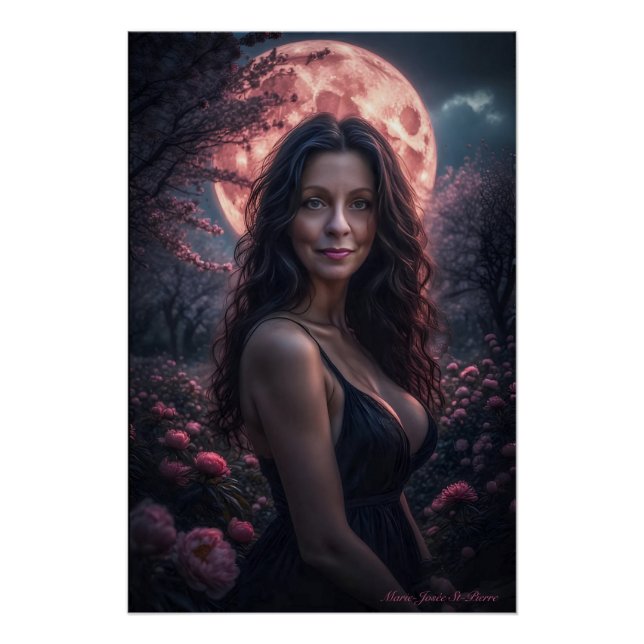 Póster Perdido En El Crepúsculo (Anverso)