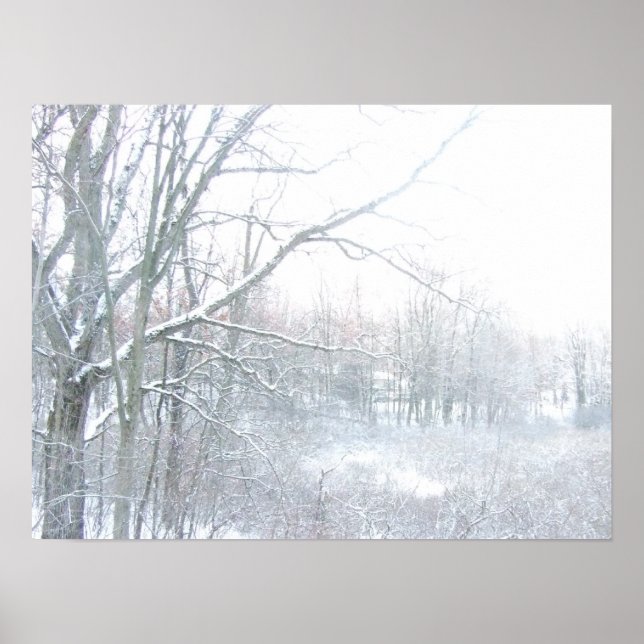 Póster Perdido en el gran Poster fotográfico del Norte (Frente)