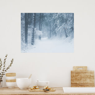 Póster Perdido en un bosque mágico