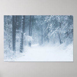 Póster Perdido en un bosque mágico