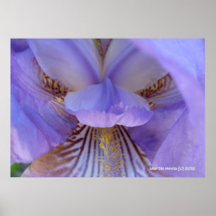 Póster Perdido en un sueño