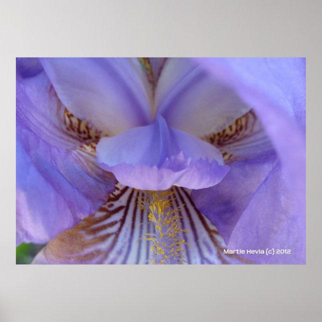 Póster Perdido en un sueño (Frente)