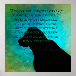 Póster Perdiendo un perro